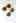Square Frame Sunglasses