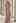 Leaves Branch Sequined Mesh Panelled Gown in Mauve