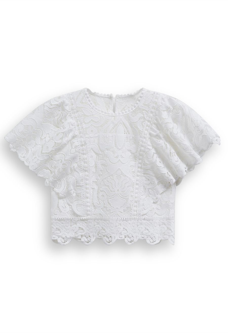 Delicate Cutie Cutwork Lace Flutter Sleeves Top in White