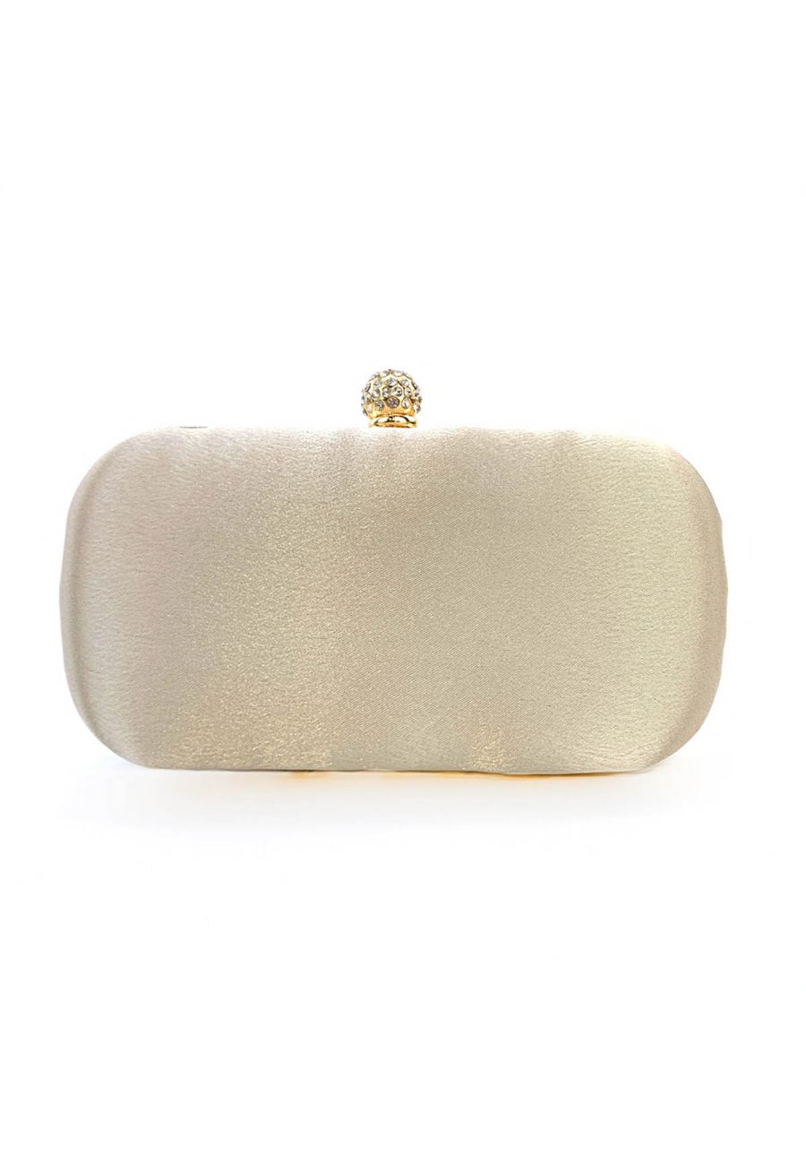 Rhinestone Beaded Vine Embroidered Clutch in Champagne