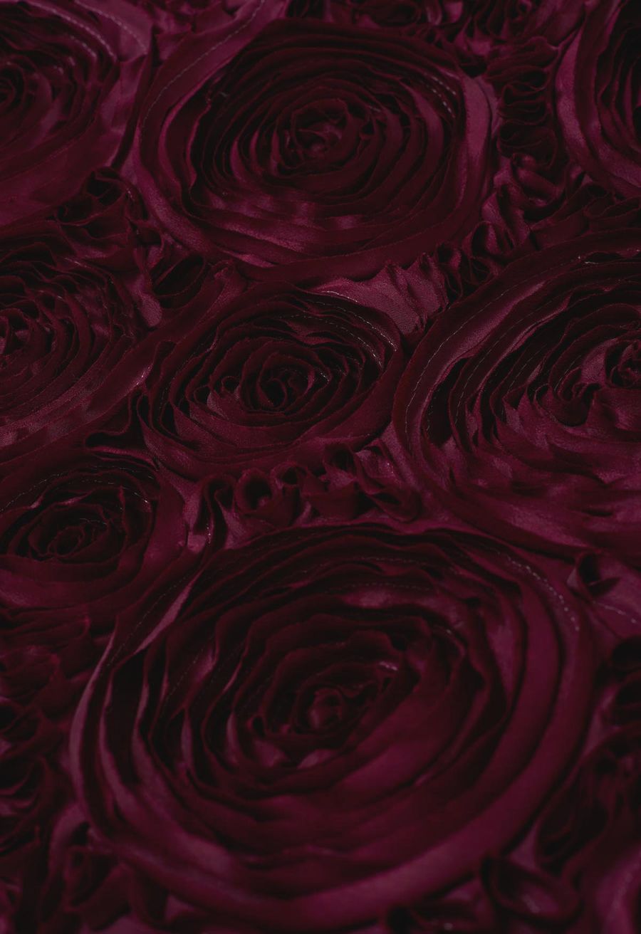 Gorgeous 3D Rose Petal A-Line Midi Skirt in Burgundy