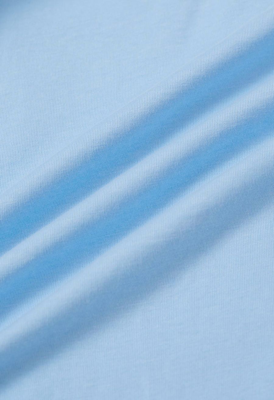 Exaggerated Organza Ruffles Sleeveless Top in Sky Blue