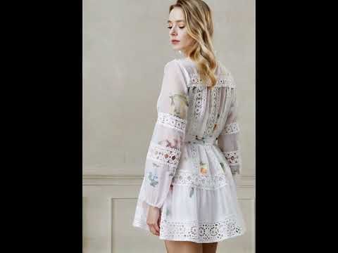 Botanical Print Cutwork Lace Panelled Organza Mini Dress