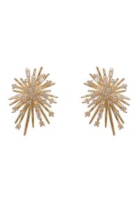 Fireworks Zircon Earrings