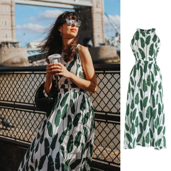 look241